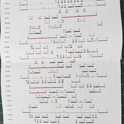 wightrider 2024 event programme